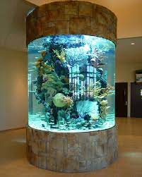Fish Aquarium Design For Home gambar png