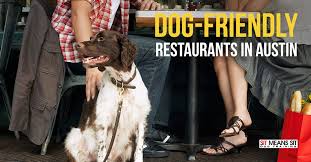 dog friendly restaurants in austin