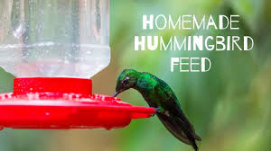 benefits of homemade hummingbird food