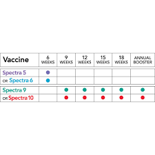 Your veterinarian determines when to start and how many boosters your pup should receive based on health status and exposure. Canine Spectra 6 Dog Vaccine Pbs Animal Health