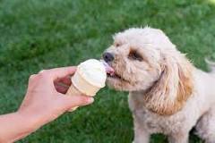 can-dogs-eat-ice-cream-with-nuts