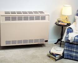 Propane Heaters Direct Vent Heaters