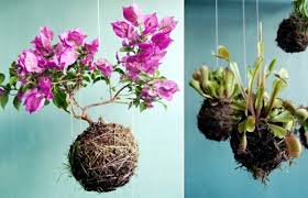 20 Ideas For Hanging Flower Pots