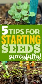 5 Tips For Starting Seeds Successfully