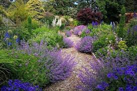 Cottage Gardens In England Scotland
