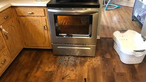 Glass Oven Door Spontaneously Explodes