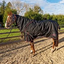 whitaker witton 200g combo turnout rug