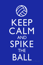 Volleyball Quotes And Sayings. QuotesGram via Relatably.com