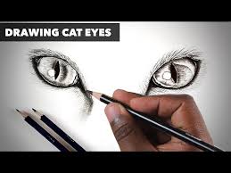 cat eyes how to draw realistic cat