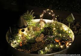 miniature fairy gardens