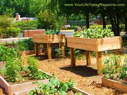 Many of us lose time to rework simple tasks over and over again because we don't know this secret. Raised Garden Beds On Legs