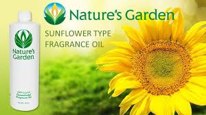 Sunflower Type Fragrance Oil Natures