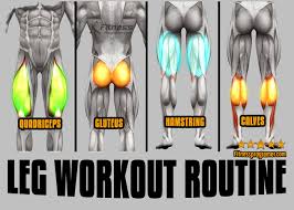 interate leg workout routine for