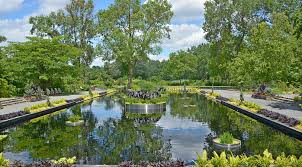 Montreal Botanical Garden This Summer