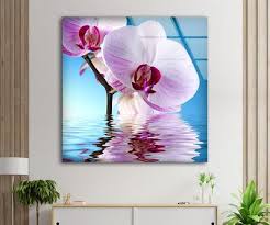 Orchid Art Flower Art Fl Art