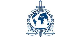 Interpol (the international criminal police organization) circulates notices to member countries listing. Faq Interpol Red Notice Ausschreibung Schlun Elseven