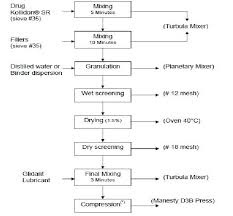 Granulation Process Flow Chart Granulation Ppt Granulation