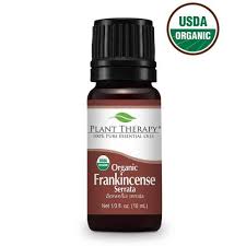 plant therapy frankincense serrata