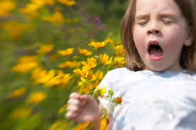 The Allergic March: How Hay Fever Progresses in Kids - 1
