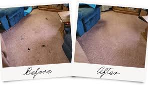 carpet cleaning pet removal