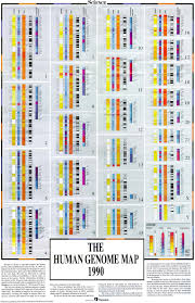 Codification Human Genome Timeline Design Map