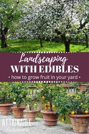 fruit trees for an urban orchard