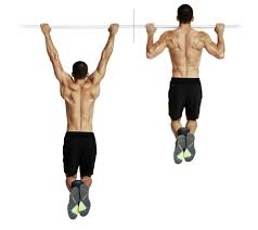 The 30 Best Back Workout Exercises For Power And Strength