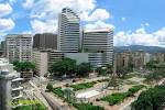 Resultado de imagem para fotos del parque del este caracas de noche venezuela