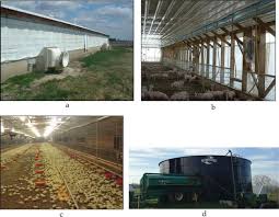 •to provide safety from their predators. Hvac Techniques For Modern Livestock And Poultry Production Systems Intechopen