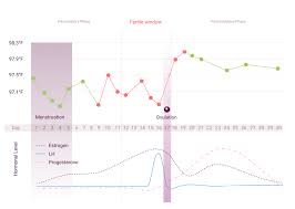 Ovulation And Temperature Tracking Fertility Natural Cycles