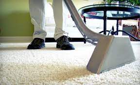 sears carpet upholstery care in