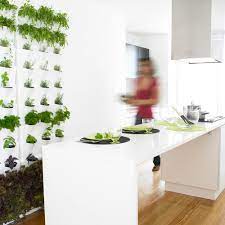Vertical Garden With Live Plants