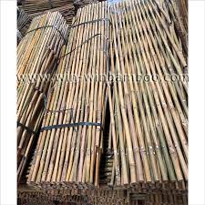 Expandable Garden Fencing Bamboo Trellis
