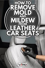 mildew from leather car seats