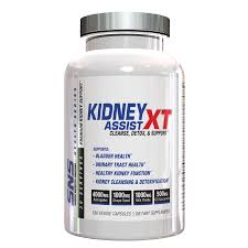 sns kidney ist xt healthy kidney