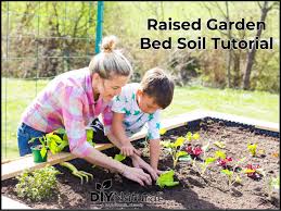 Raised Garden Bed Soil Create Healthy
