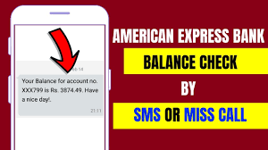 american express balance check