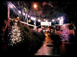 85 nyc christmas tree lightings and