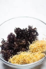 It's no secret that sea moss gel is becoming the new superfood star! The 2 Main Different Types Of Sea Moss Sea Moss Vs Irish Moss