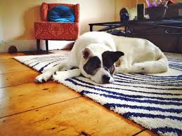 placing rugs on hardwood floors