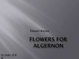 ppt flowers for algernon powerpoint
