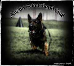 www.austinschutzhundclub.com gambar png