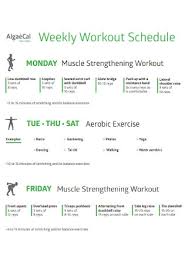 19 sle workout schedule templates