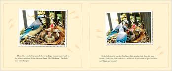 Your preschoolers and kindergartners will learn about nests, different kinds of nests, and so much more bird fun! Children S Books Picture Books About The Backyard The New York Times