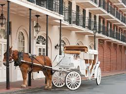 where to stay in new orleans top