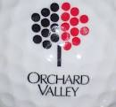 1) ORHCARD VALLEY GOLF COURSE LOGO GOLF BALL (ILLINOIS) | eBay