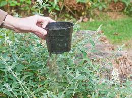 how to reuse plastic gardening pots