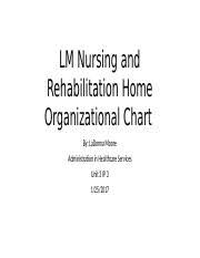 Unit 3 Ip 3 Admin Organizational Chart Lm Nursing And
