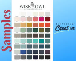 Wise Owl Chalk Synthesis Paint 2oz