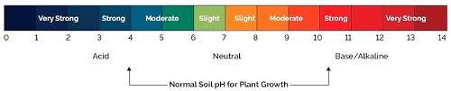 Soil Ph For Plants Villastowingservice Com
